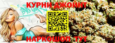 мдпв Пугачёв